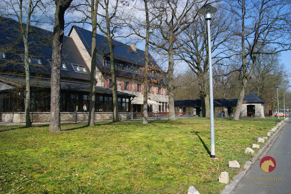 Cavallestro Classic Kitzingen Exteriör bild